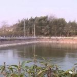 yt735jp