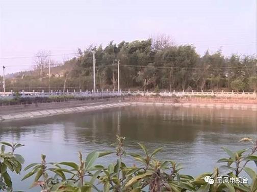 mg老虎机比倍